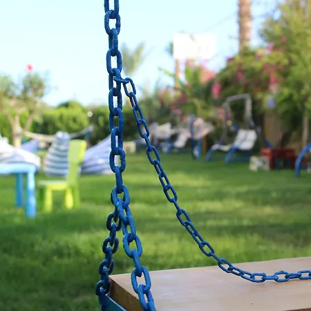 Hare Alanya