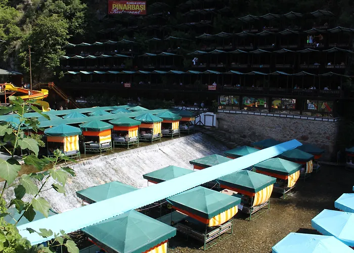 Hare 3* Αλάνια