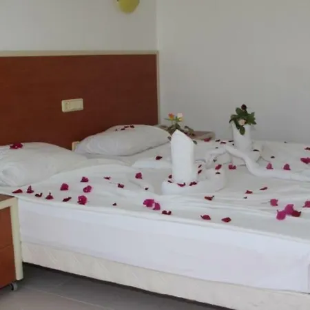 Hare Hotel 3*