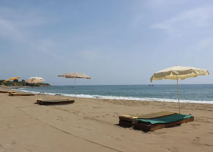 Hare Alanya