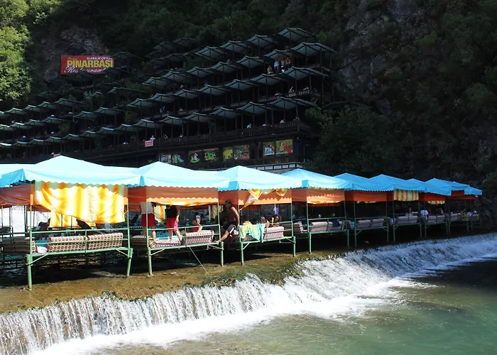 Hare Alanya
